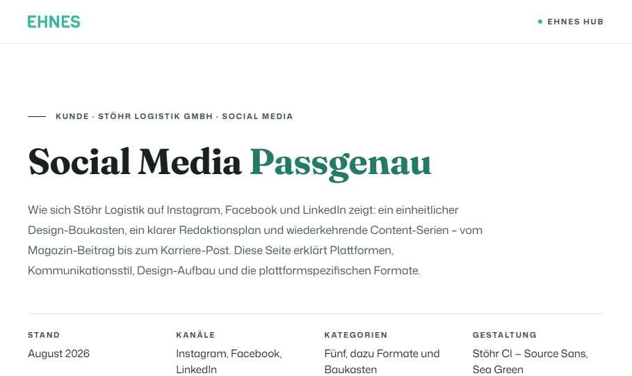 Screenshot Social-Media-Konzept im EHNES-Stil